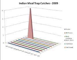 Indian Meal Trap Catches 2008
